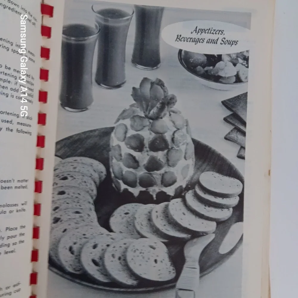 FAVORITE RECIPES The Southwest Cookbook Vintage Family Edition Comb Binding